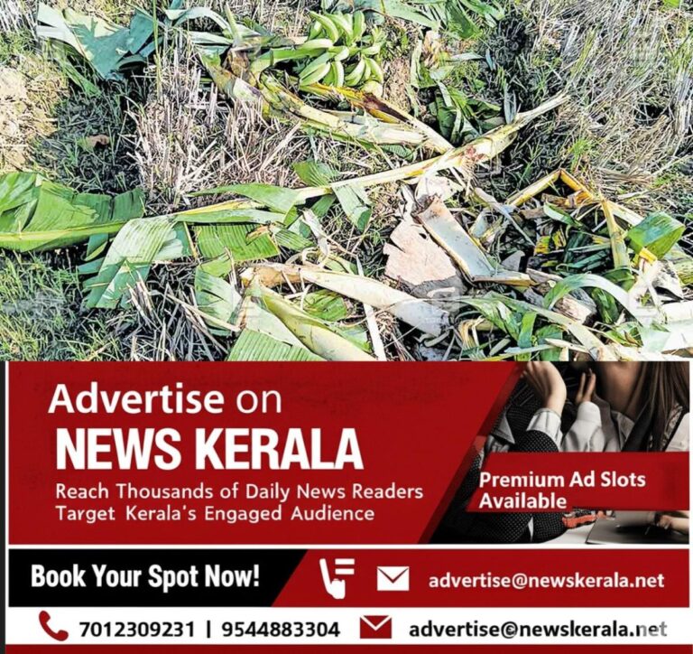 newskerala.net_1755930537_wayanad-wild-animal-attack