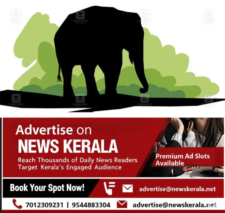 newskerala.net_1755931849_idukki-wild-elephant-sketch