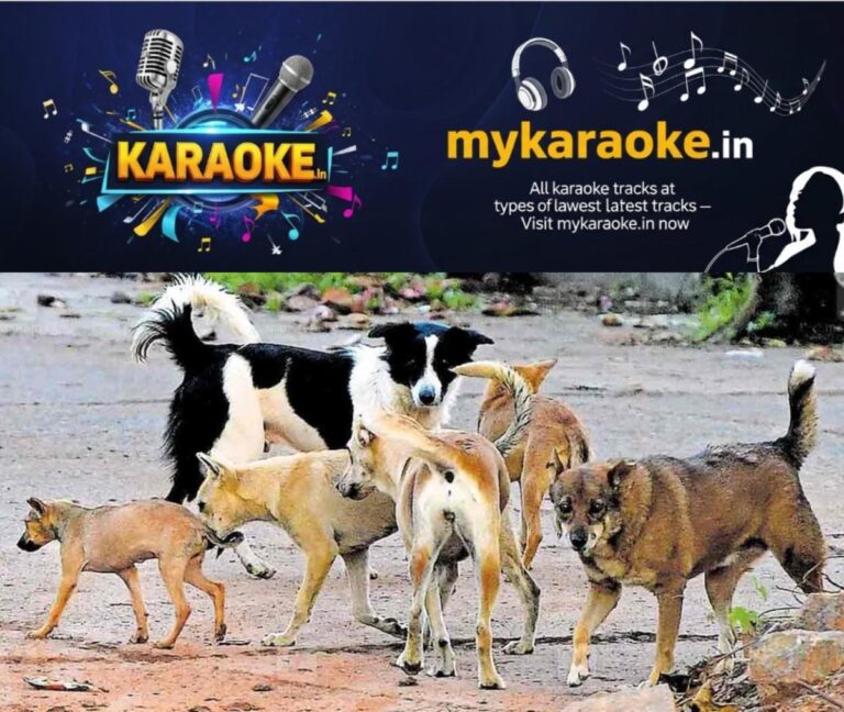 newskerala.net_1755933520_stray-dog