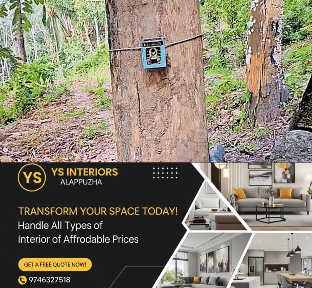 newskerala.net_1755935999_forest-camera