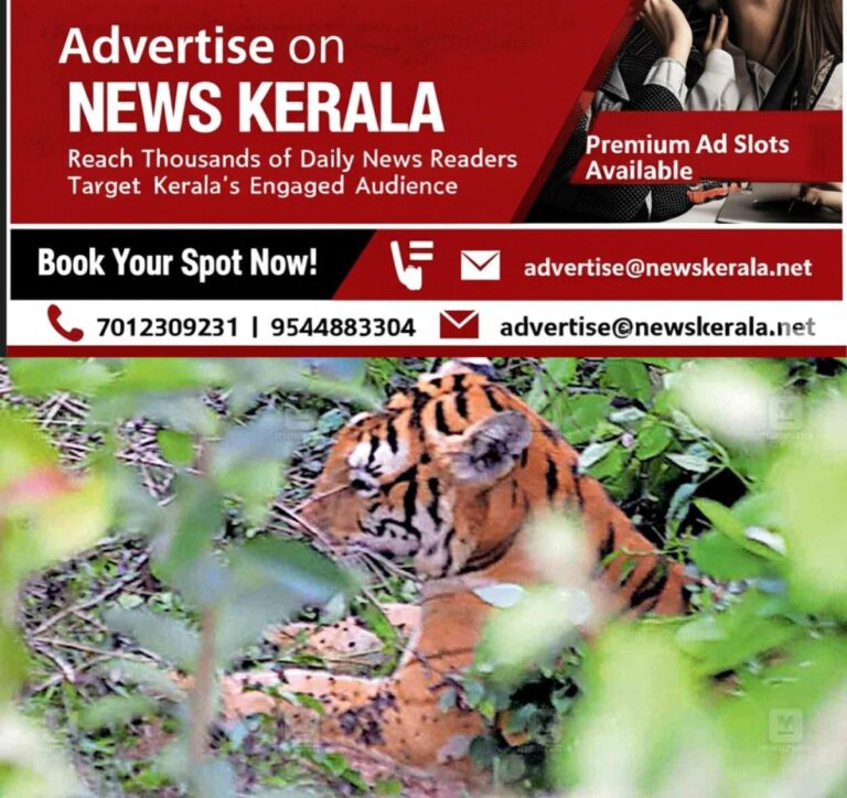 newskerala.net_1755941598_palakkad-ootty-tiger
