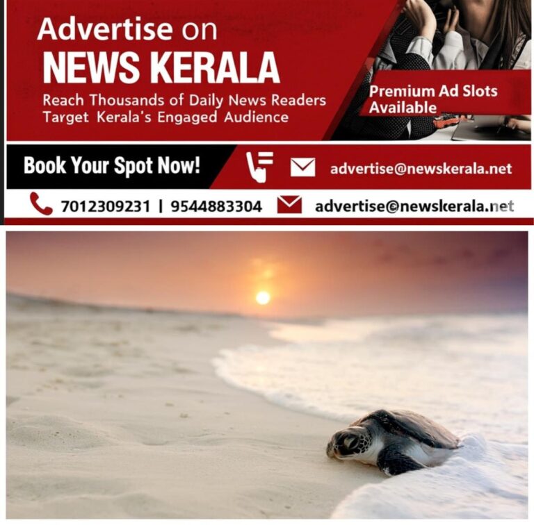 newskerala.net_1755943909_w-1280h-720format-jpgimgid-01k3b5wtapdqdj1n467k7jd6w1imgname-sea-turtle-1755943168342