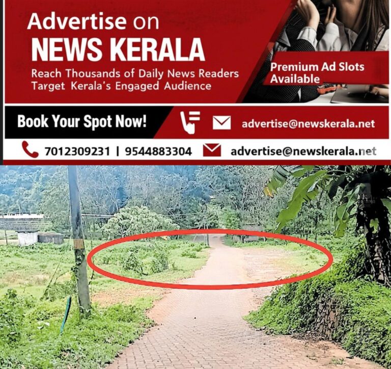 newskerala.net_1755945295_Koothattukulam-road-restoration
