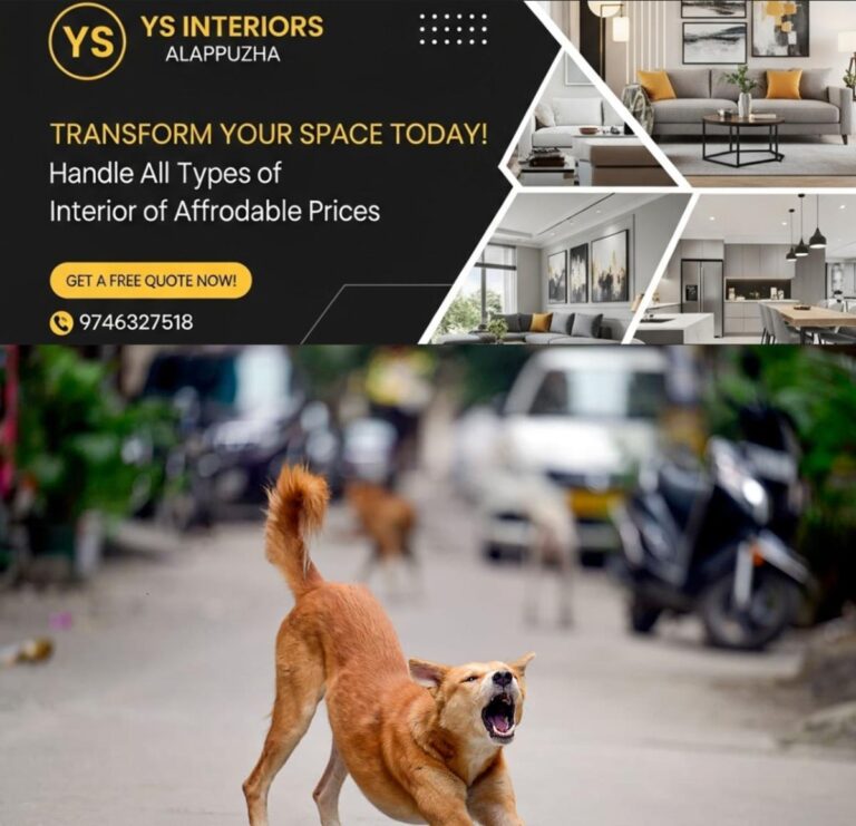 newskerala.net_1755966476_w-1280h-720format-jpgimgid-01k2j11va7xrww4y5jckm9b64pimgname-gettyimages-2228936661-175509922951