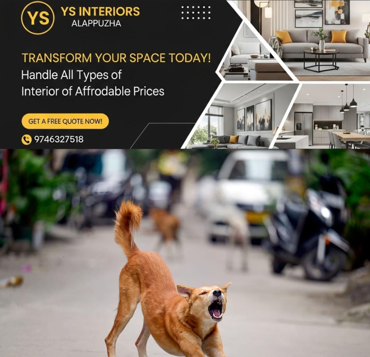 newskerala.net_1755966476_w-1280h-720format-jpgimgid-01k2j11va7xrww4y5jckm9b64pimgname-gettyimages-2228936661-175509922951