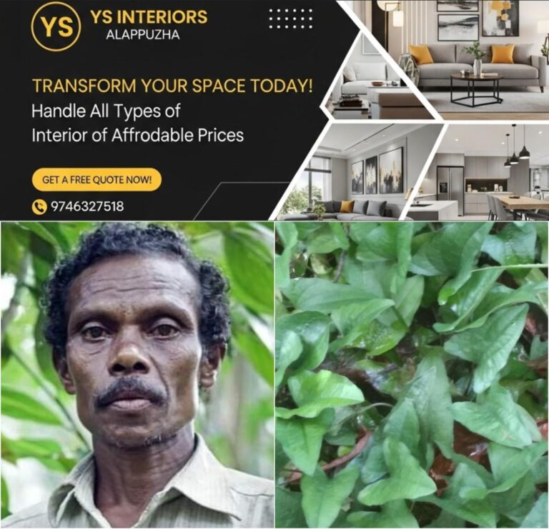 newskerala.net_1755980004_w-1280h-720format-jpgimgid-01k3c6mj6nqw49w4bykn3wmj0mimgname-kuttimathan-kani-1755977500885