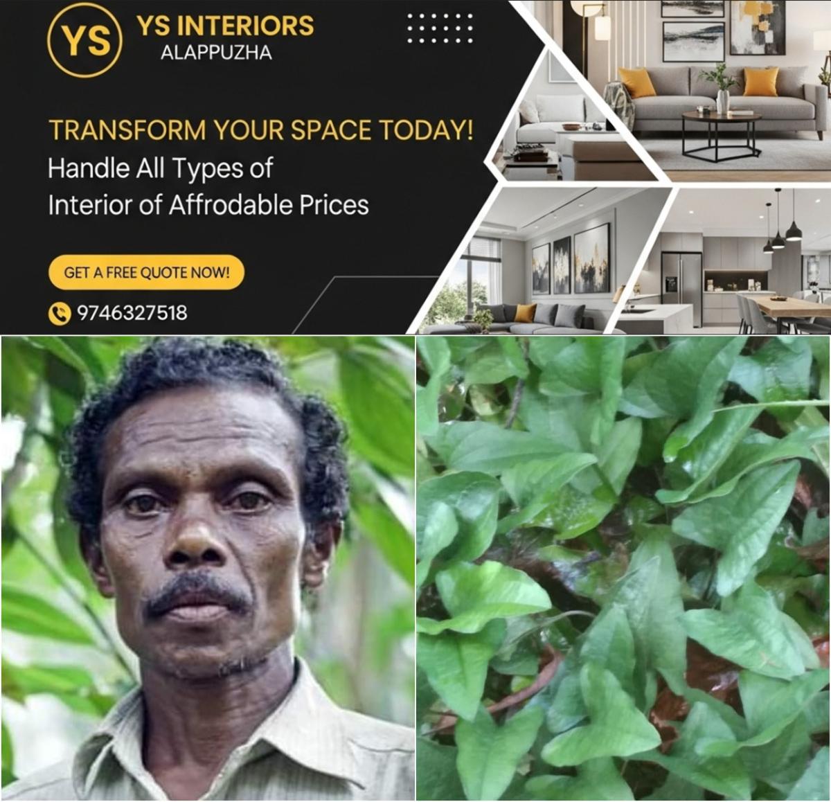 newskerala.net_1755980004_w-1280h-720format-jpgimgid-01k3c6mj6nqw49w4bykn3wmj0mimgname-kuttimathan-kani-1755977500885