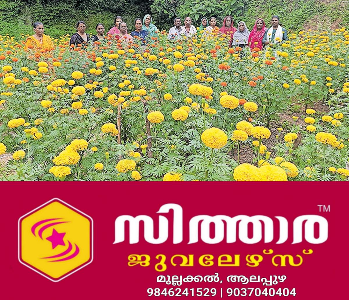 newskerala.net_1756000907_onam-flower-market-farmers