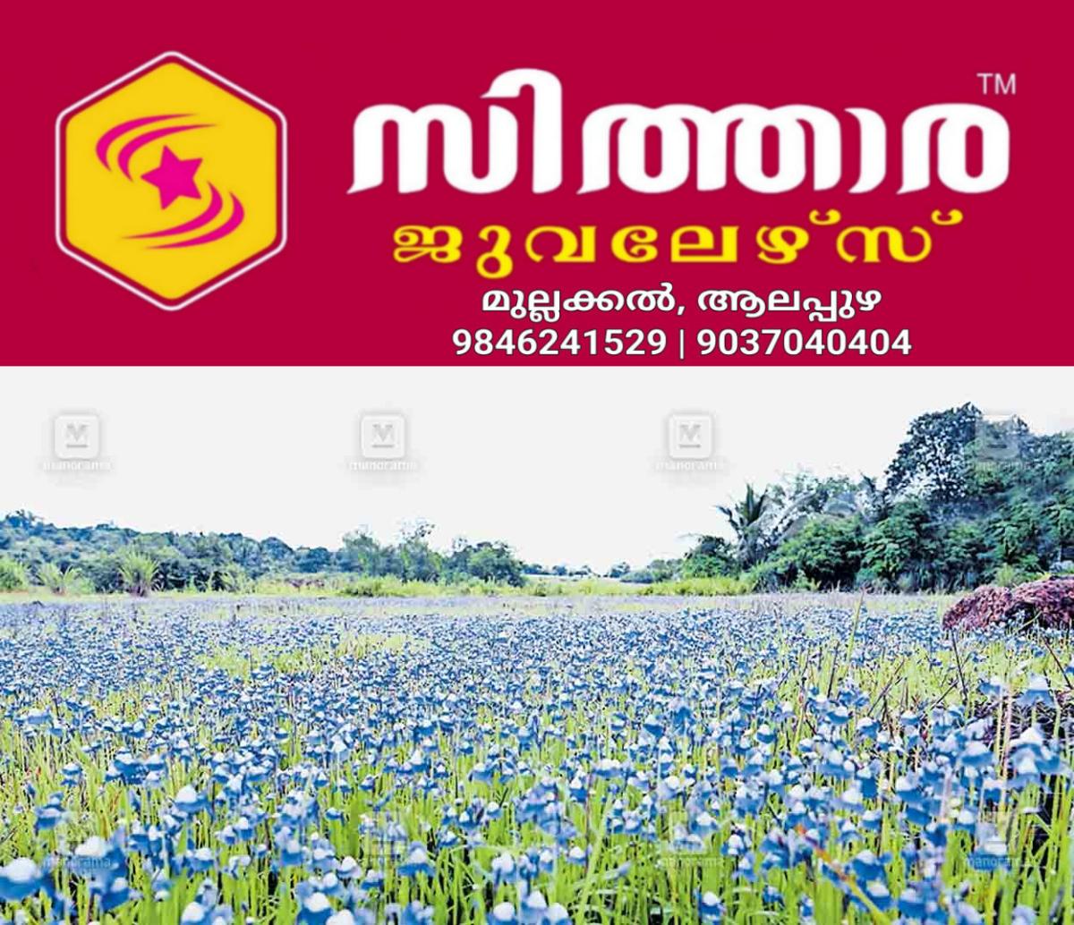 newskerala.net_1756011772_kakka-flower