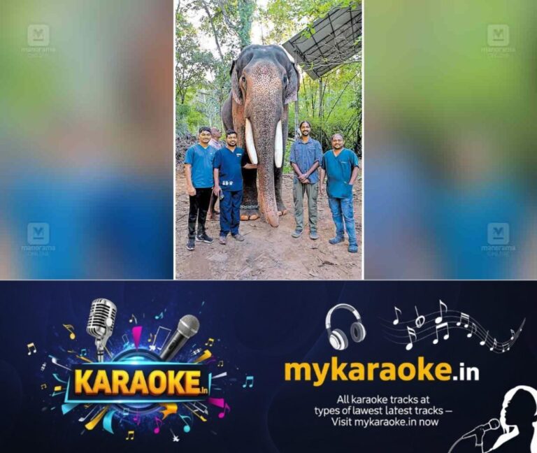 newskerala.net_1756089842_kottayam-elephant