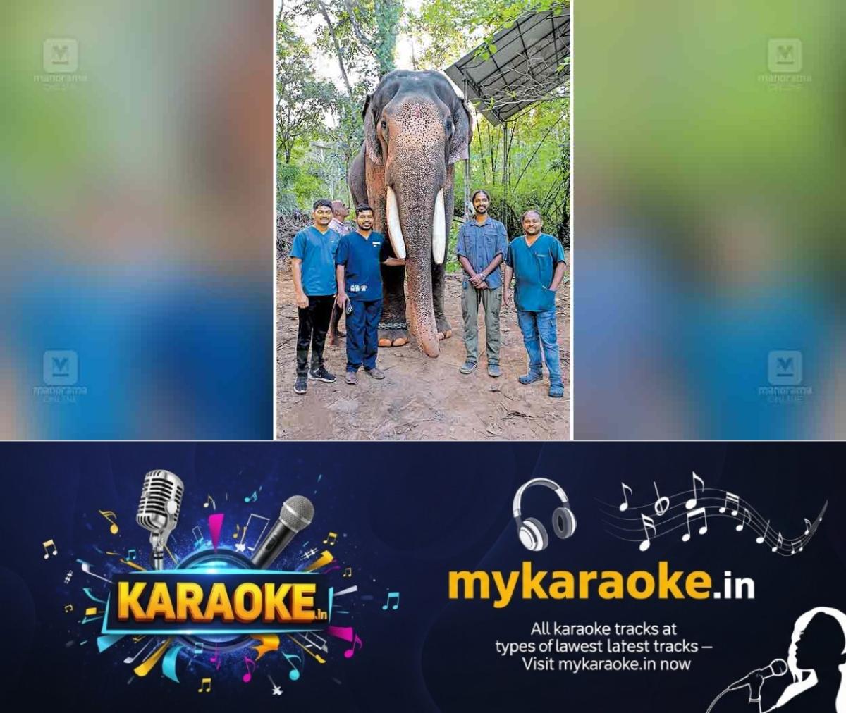 newskerala.net_1756089842_kottayam-elephant