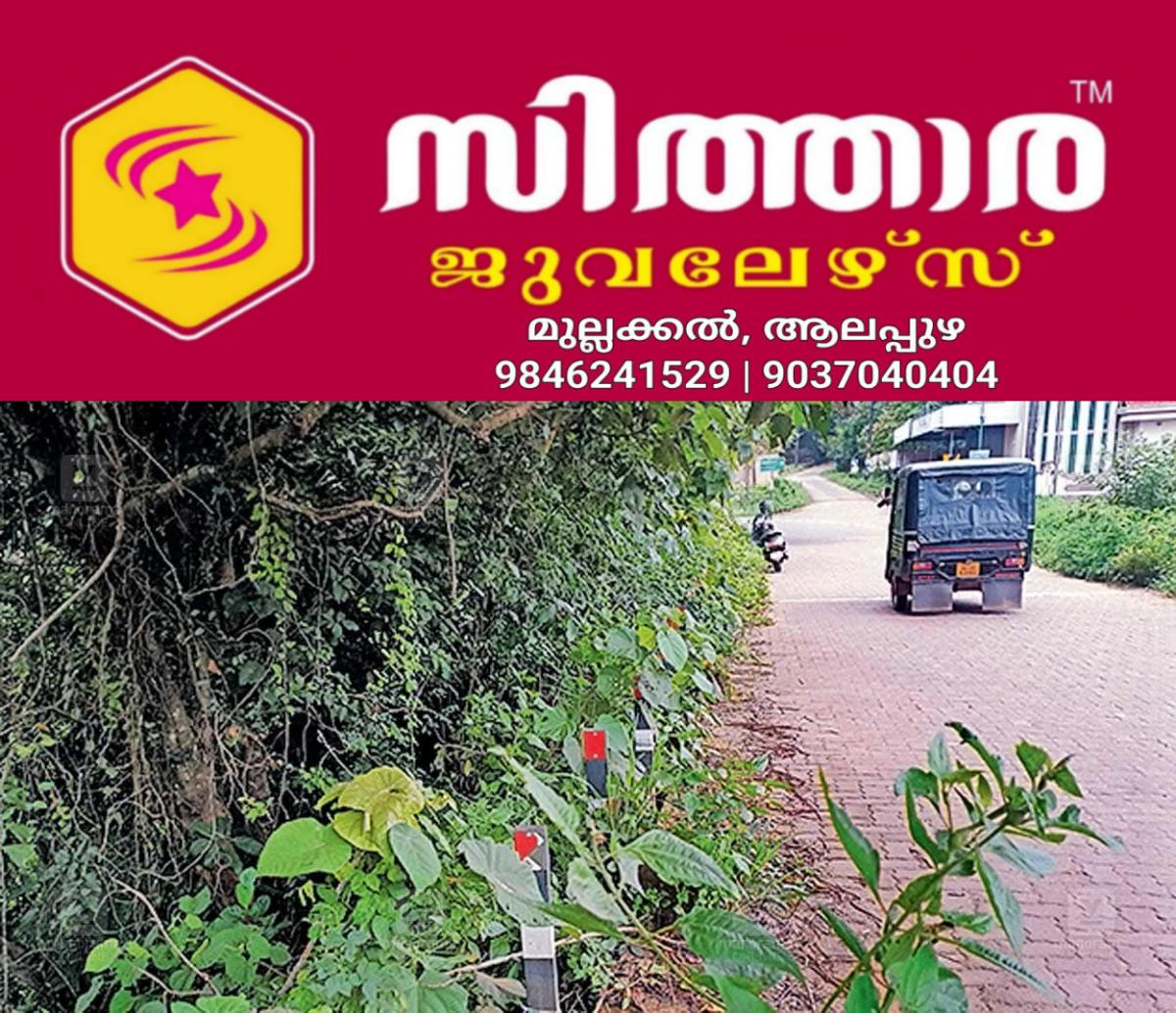 newskerala.net_1756098484_viyyakurissy-canal-road