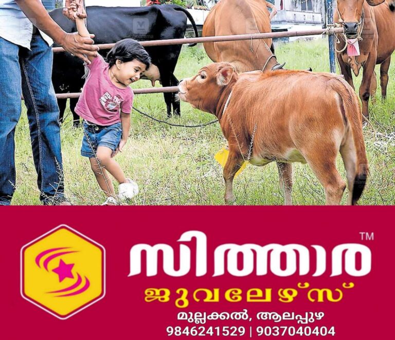 newskerala.net_1756100287_cattle-exhibition-kakkanad
