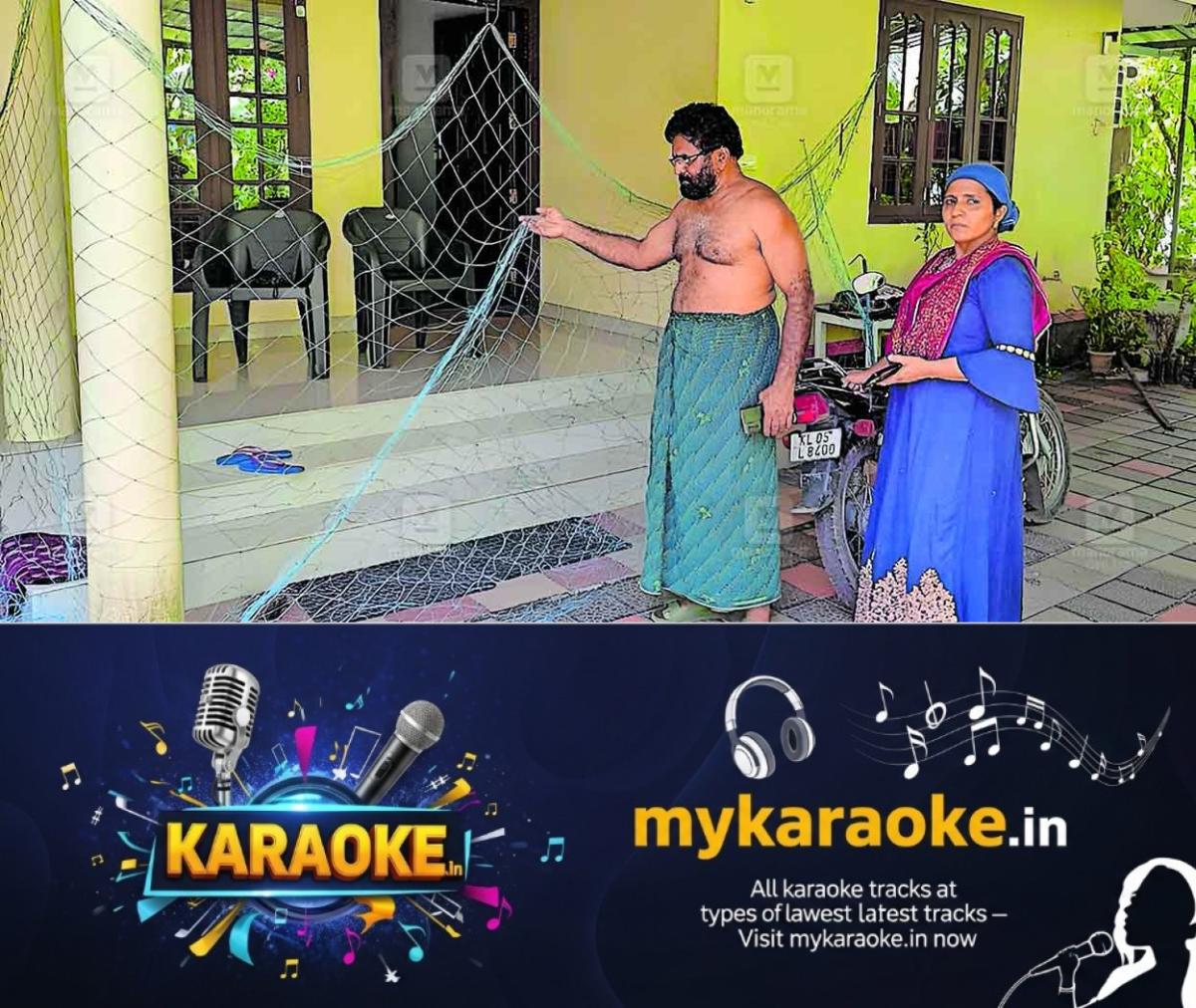 newskerala.net_1756101843_ktm-thalayolaparambhu-stary-dog-issue