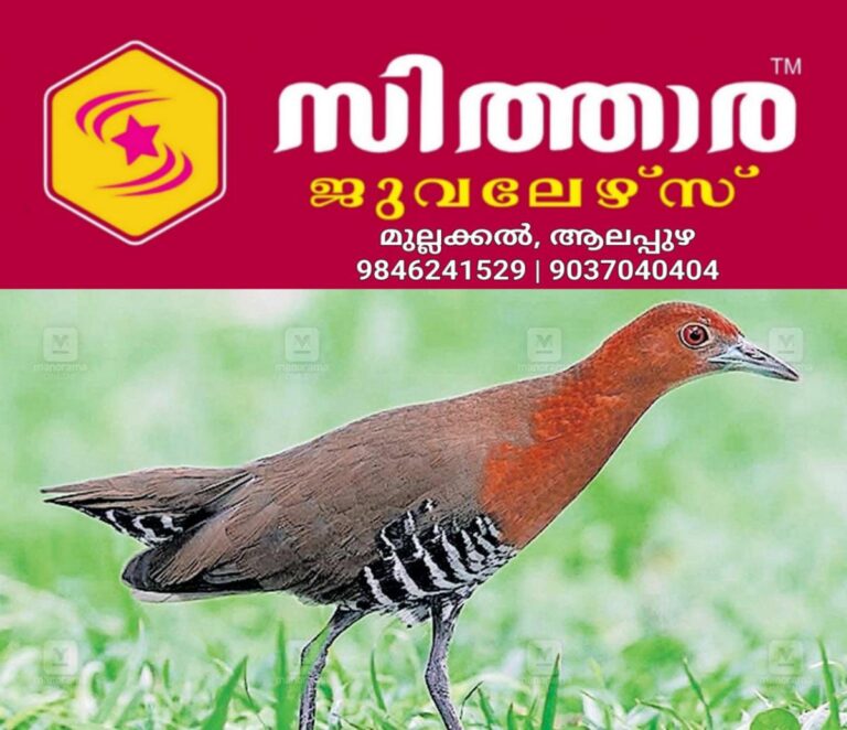 newskerala.net_1756102084_nellikozhi