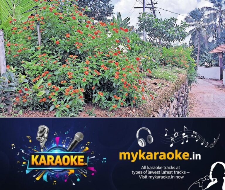 newskerala.net_1756102443_pezhukara-flowers-1
