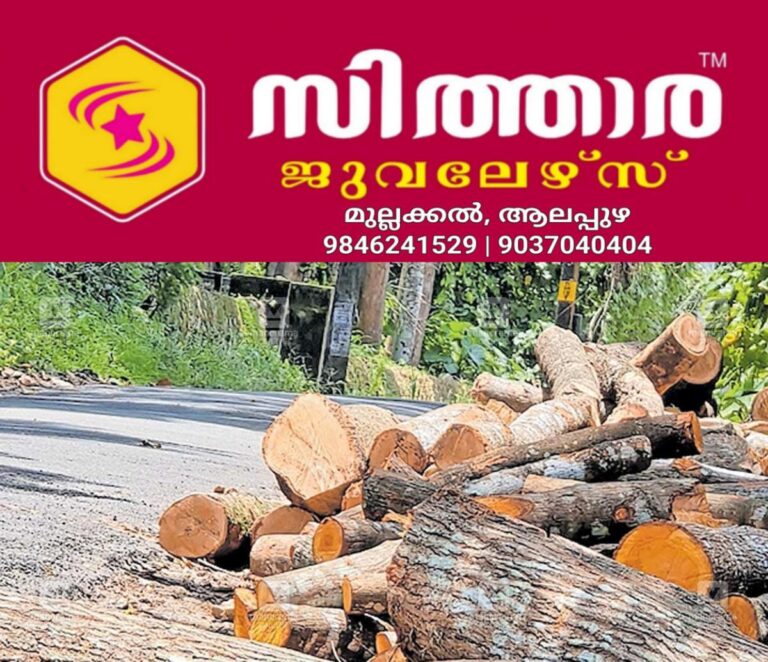 newskerala.net_1756104126_thiruvalla-road-side-woods