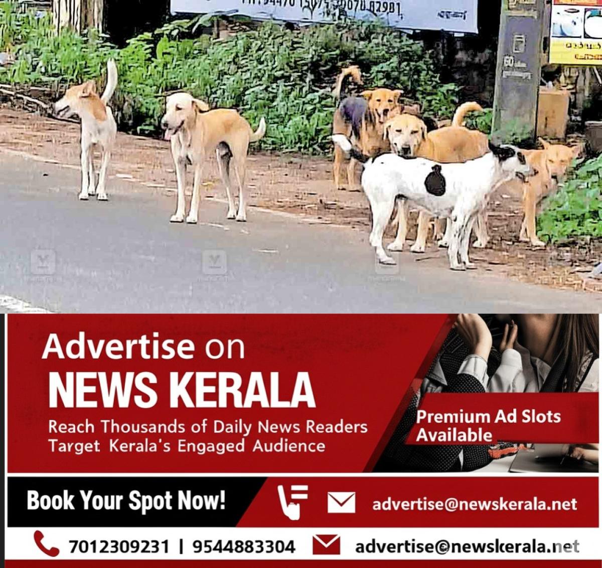 newskerala.net_1756107483_alappuzha-budhanoor-dogs-issue