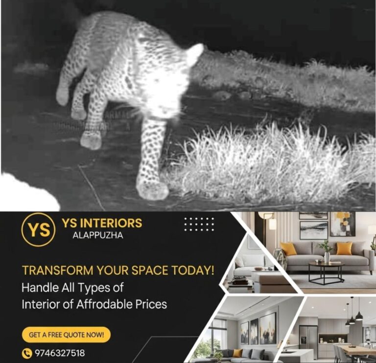 newskerala.net_1756117084_w-1280h-720format-jpgimgid-01k3gbgbh7g7w34f704bkg06qvimgname-tiger-1756116823591