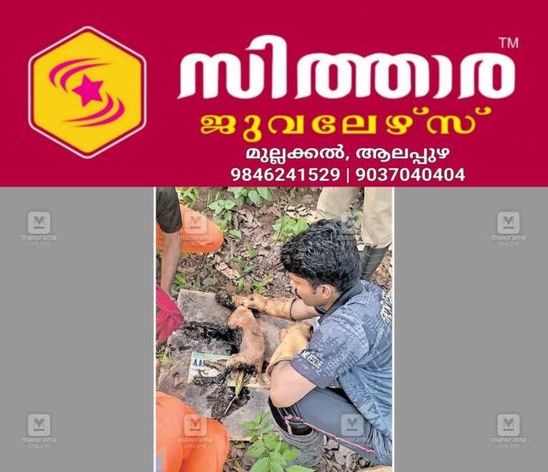newskerala.net_1756120206_porathissery-taar-dog1