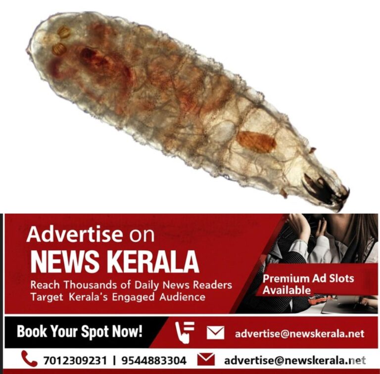 newskerala.net_1756154882_w-1280h-720format-jpgimgid-01k3hdn14vgc8dfnc21texpy8mimgname-fotojet-1-1756152628379