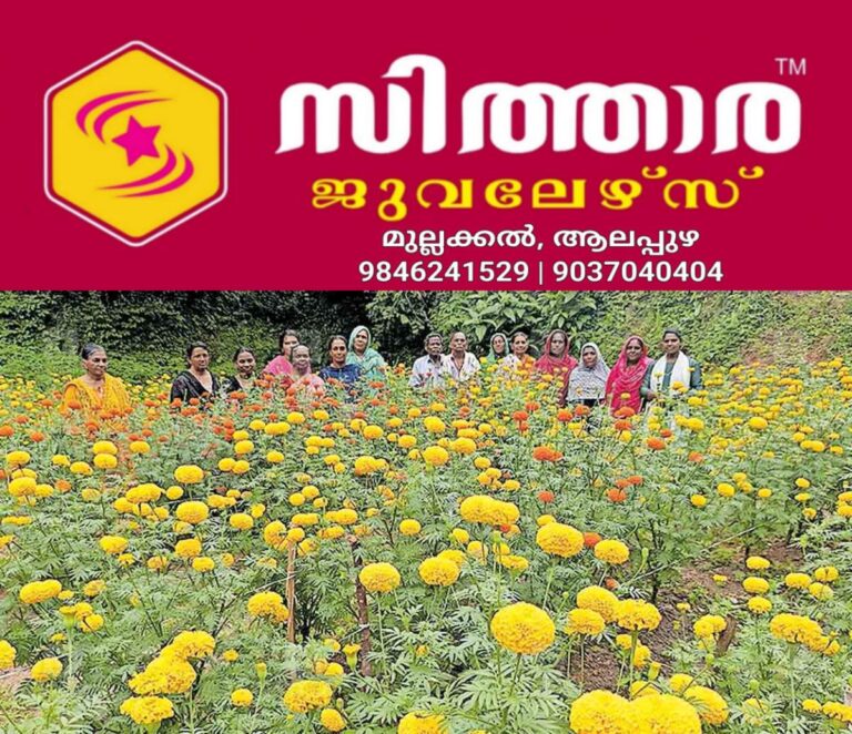 newskerala.net_1756176962_flower-harvest