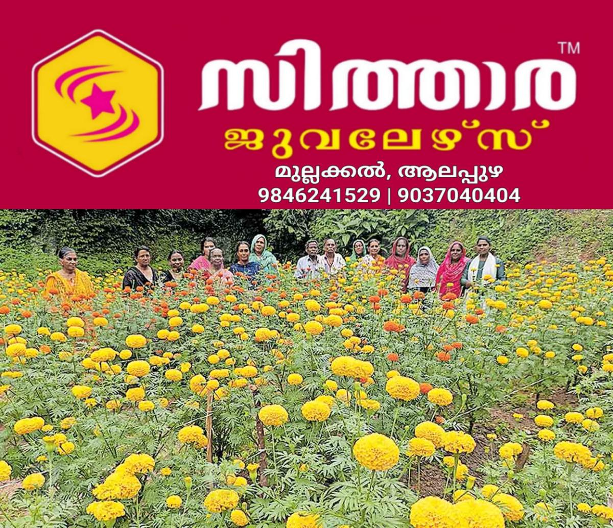 newskerala.net_1756176962_flower-harvest