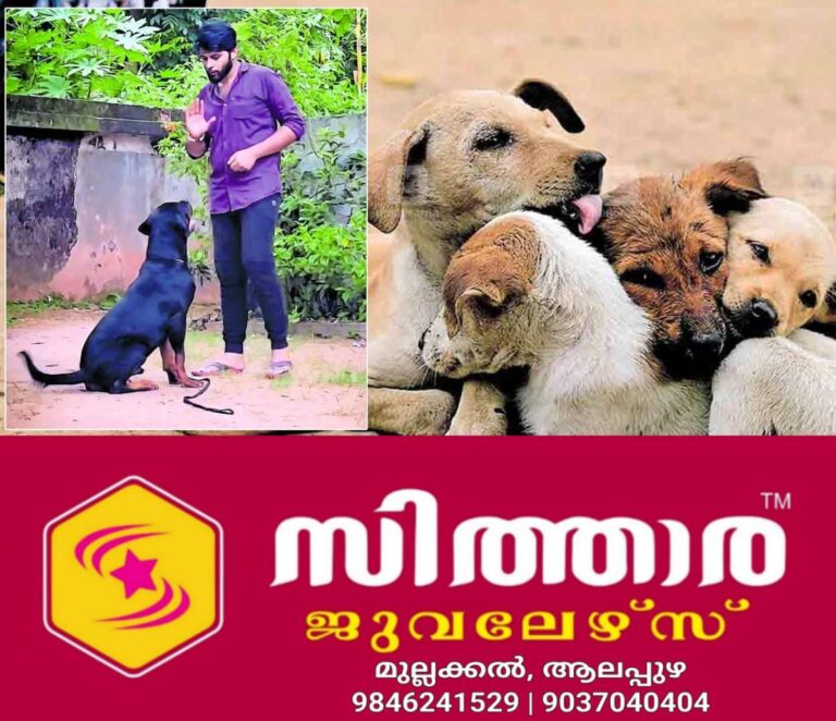 newskerala.net_1756188723_dog-training
