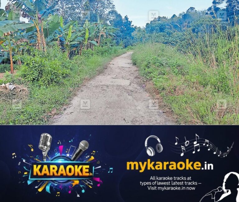 newskerala.net_1756188965_kanal-road