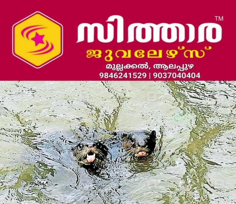 newskerala.net_1756189807_neernaya-1