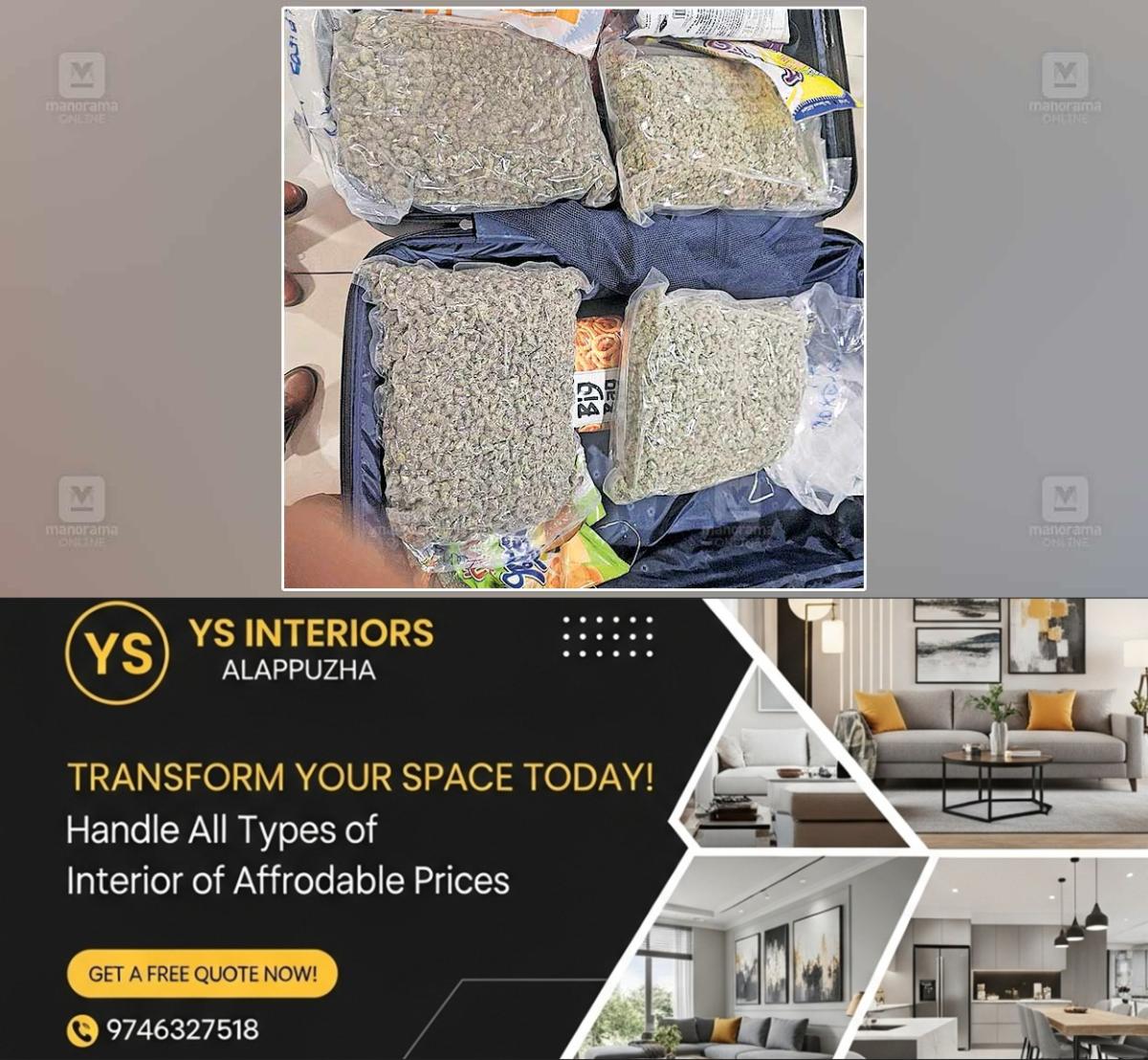 newskerala.net_1756271043_Hybrid-cannabis