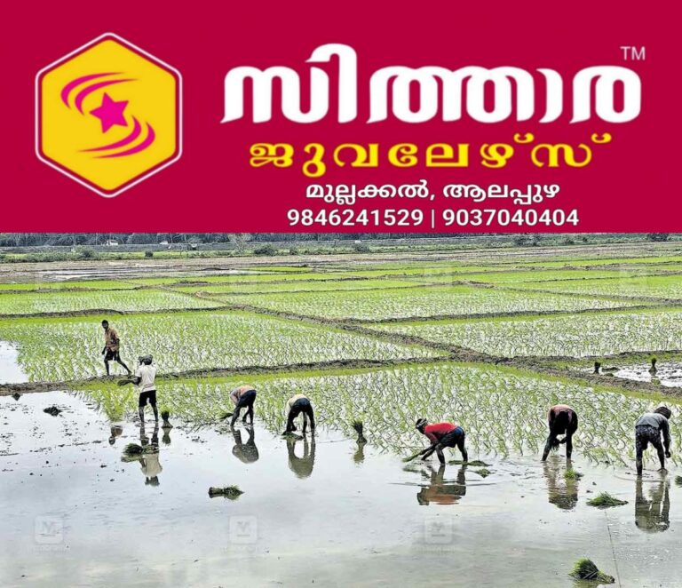 newskerala.net_1756285444_labor-shortage-kerala-agriculture