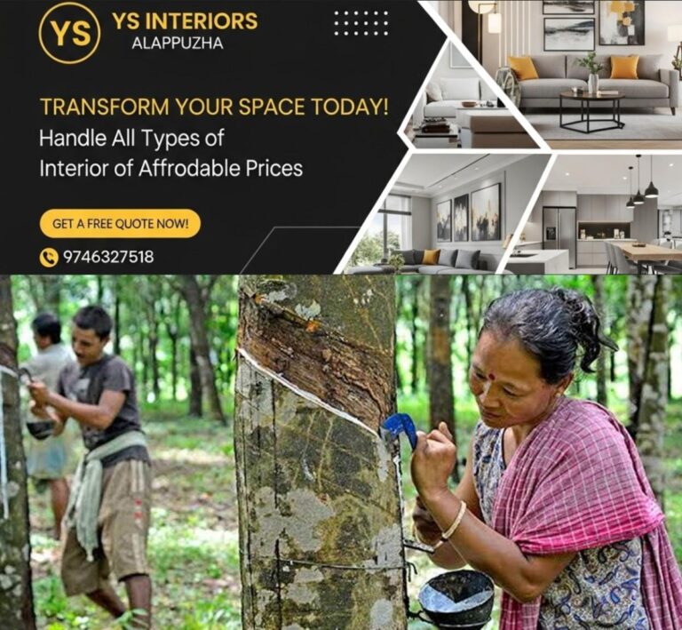 newskerala.net_1756299722_rubber-brazil