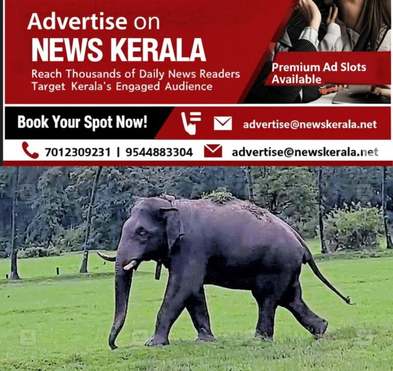 newskerala.net_1756412043_pt5