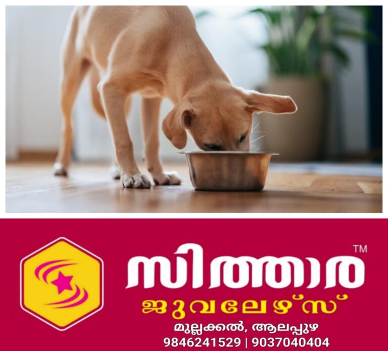 newskerala.net_1756460403_w-1280h-720format-jpgimgid-01k3tj709e13hqnpczfmf7242eimgname-fotojet-2025-08-29t145307.272-175