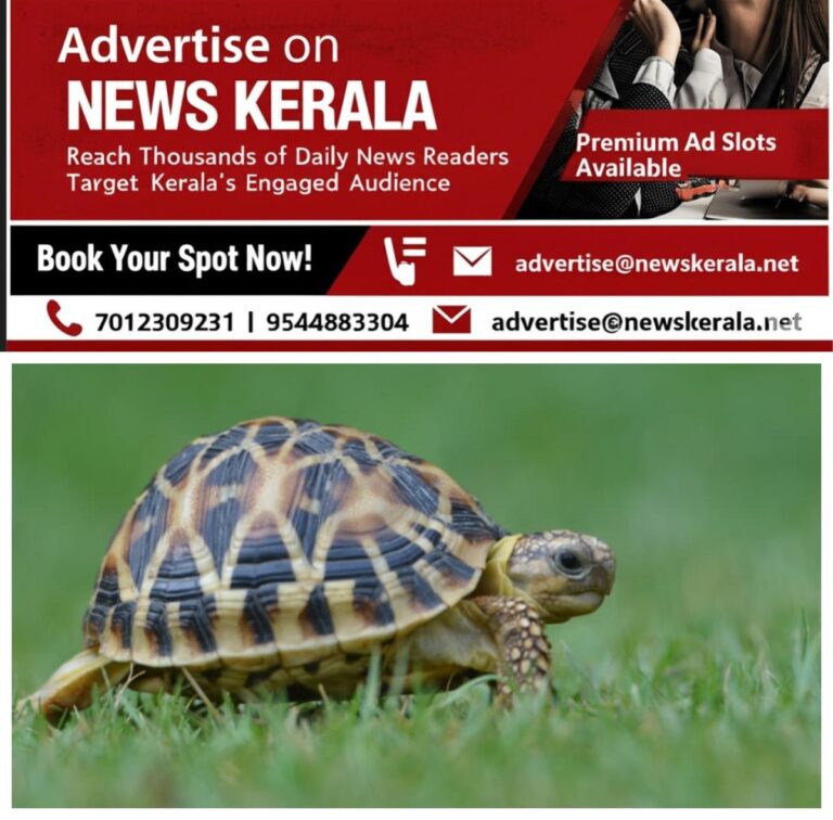 newskerala.net_1756468452_w-1280h-720format-jpgimgid-01k3trvz605t6z75c9qp9y2p3fimgname-fotojet-2025-08-29t164923.710-175