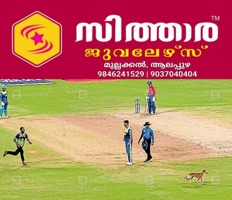 newskerala.net_1756522202_trivandrum-dog-in-criket-ground