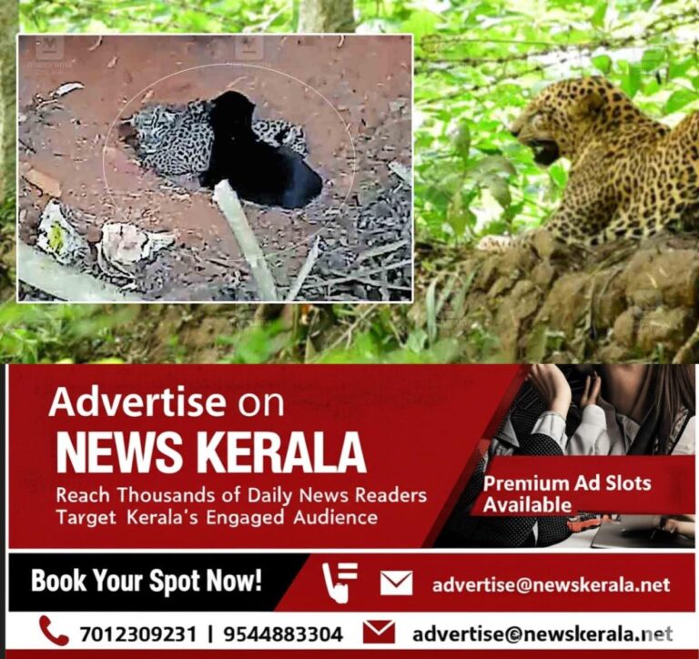 newskerala.net_1756539123_Leopard-baby