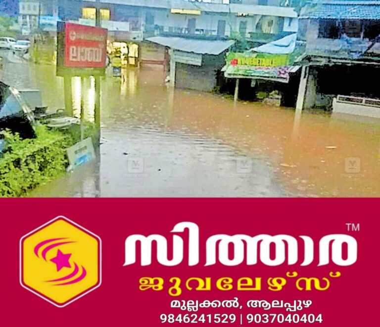 newskerala.net_1756545484_chapparappadav-town