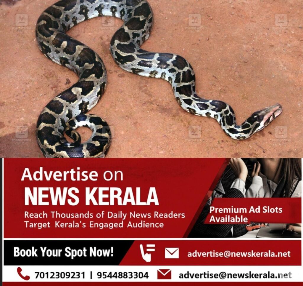 newskerala.net_1756562667_python-snake-1