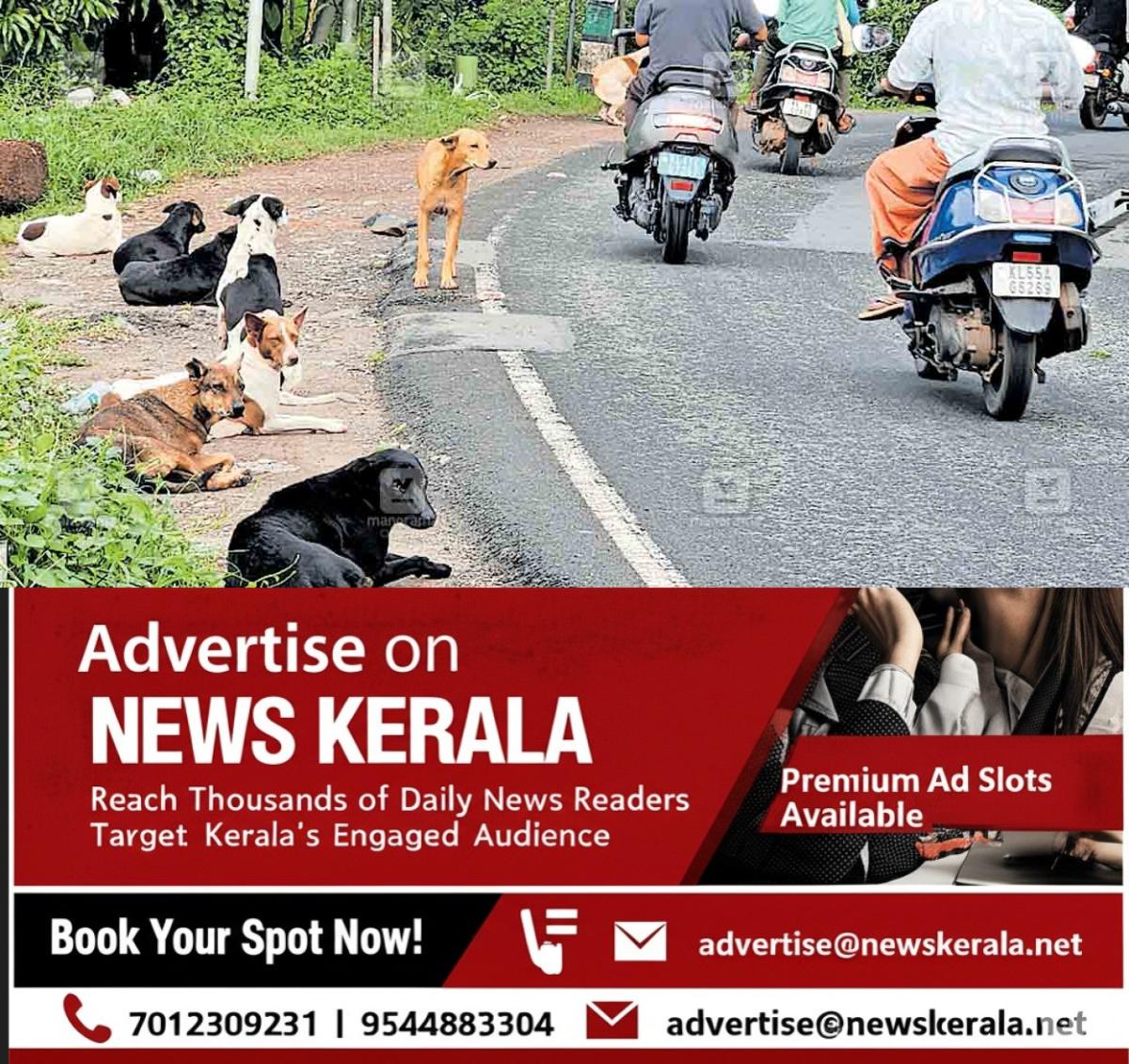 newskerala.net_1756620483_pantheerankavu-stray-dog-issue