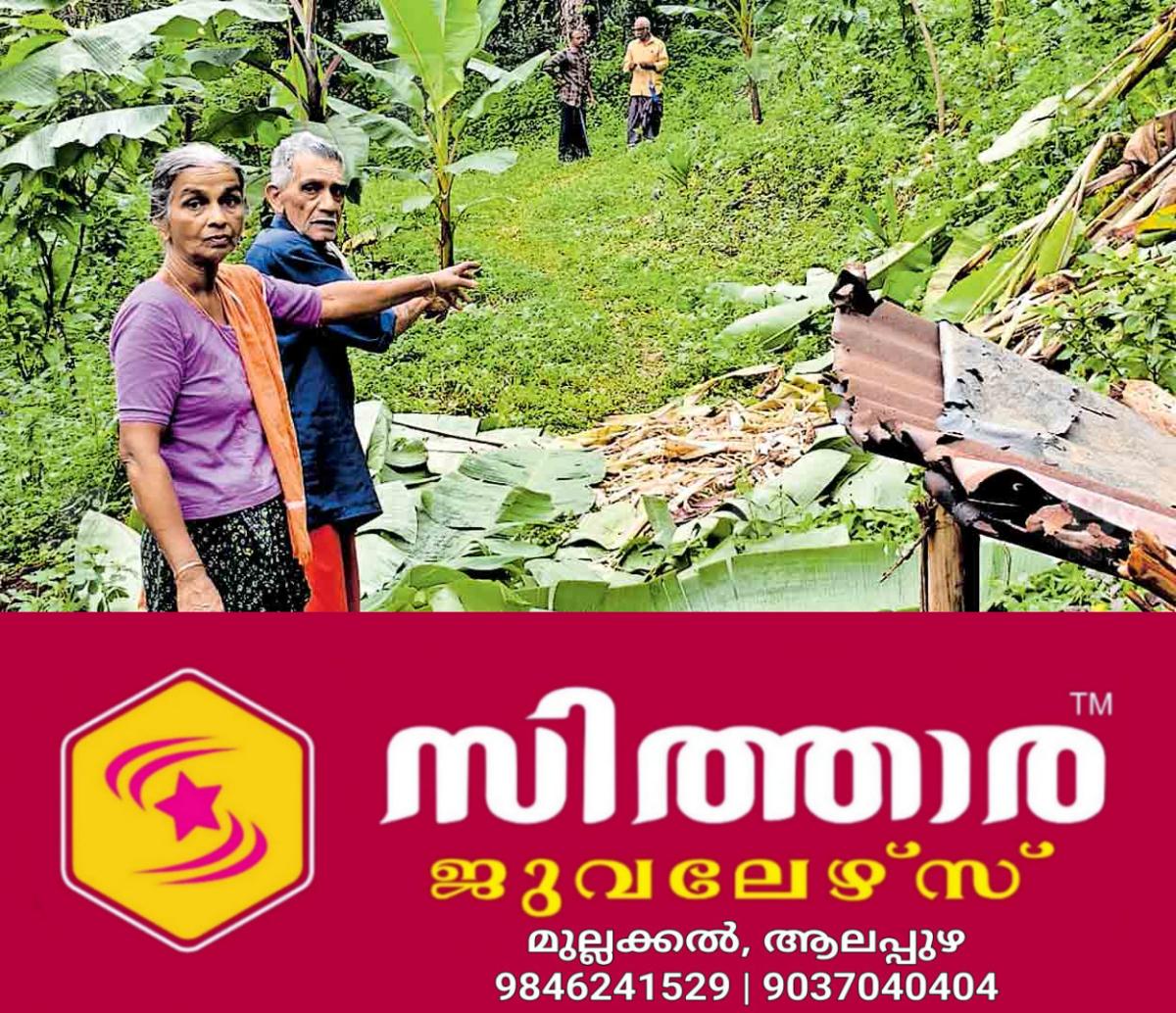 newskerala.net_1756629604_dasan-pushpa
