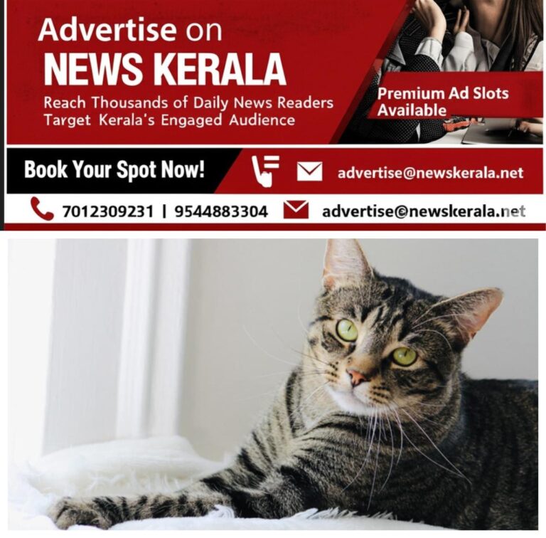 newskerala.net_1756640883_w-1280h-720format-jpgimgid-01k242h18pt68ka994fkjh1sfrimgname-fotojet-2025-08-08t105956.783-175