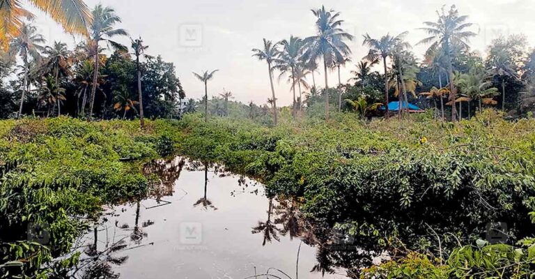 ochira-feild.jpg