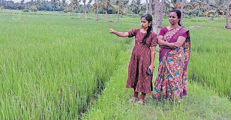 palakkad-farming-plot.jpg