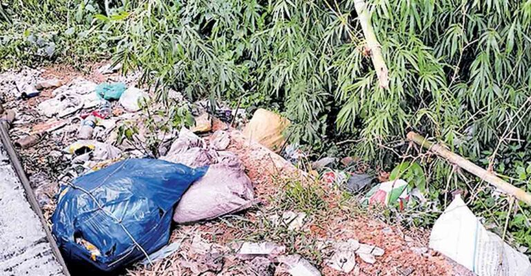 palakkad-nilavilikunnu-waste.jpg