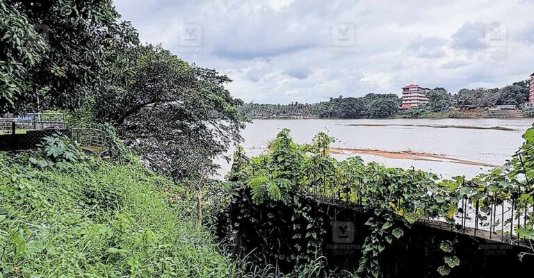 palakkad-shornur-barathapuzha-riverside.jpg