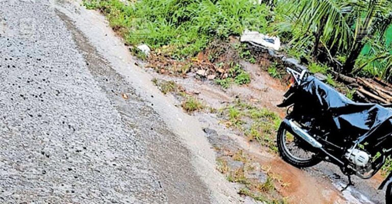 pambadumpara-muttarpaddy-road.jpg