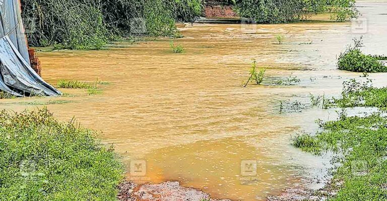 panamaram-waterlogg.jpg