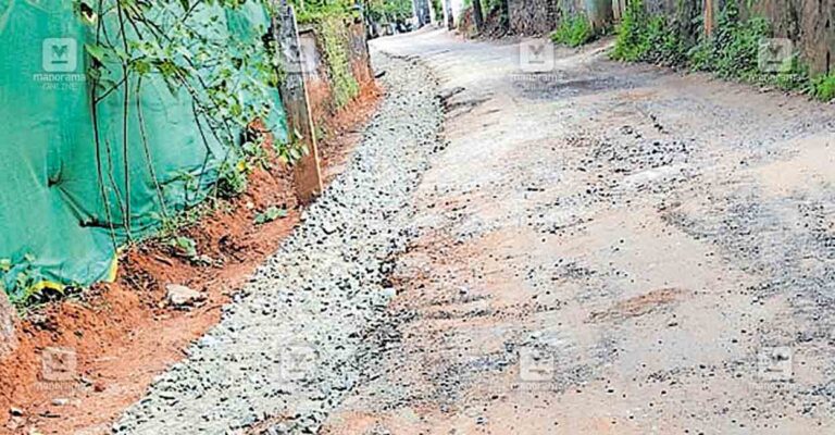 paraneeyam-karumkulam-road.jpg